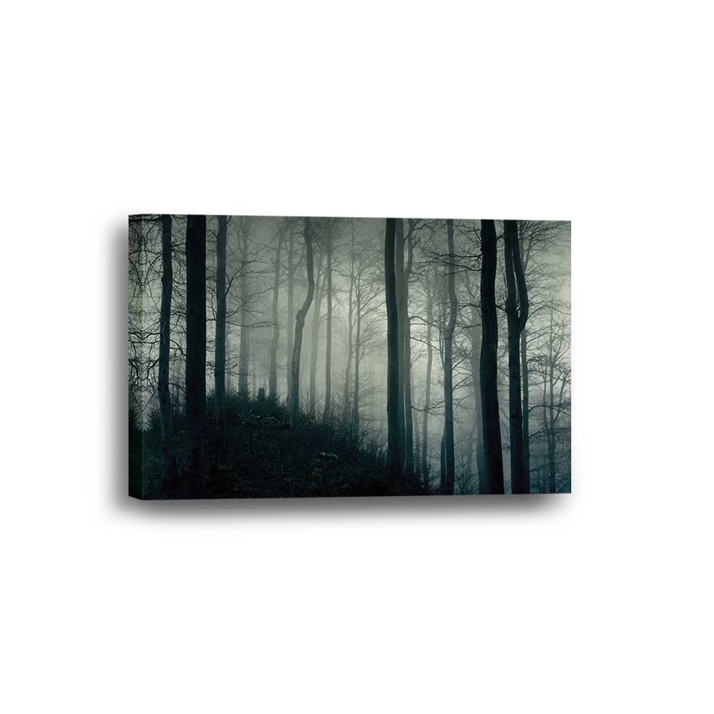 Woodland Mist: Dark Forest Series - Framed Canvas Home Decor Wall Art Multiple Choices 1 3 4 5 Panels