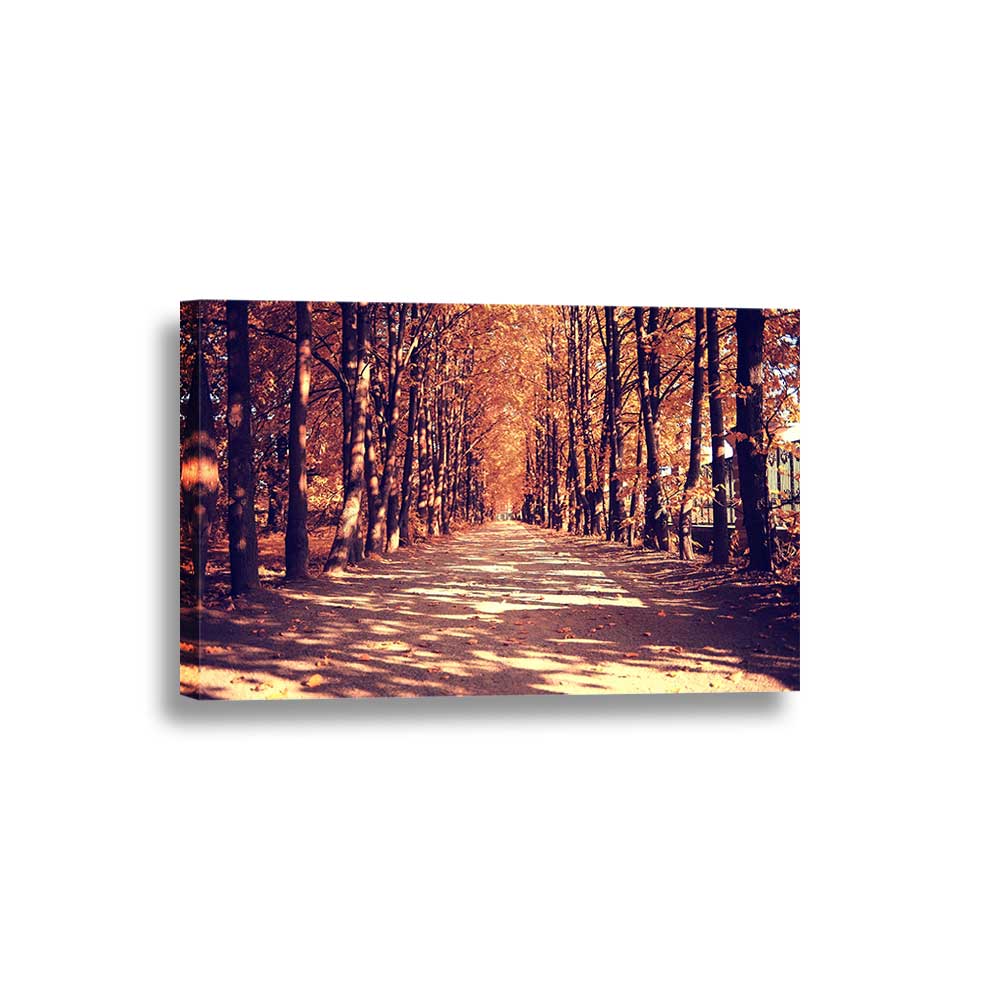 Autumn Glow Woodlan Pathway Collection - Framed Canvas Home Decor Wall Art Multiple Choices 1 3 4 5 Panels