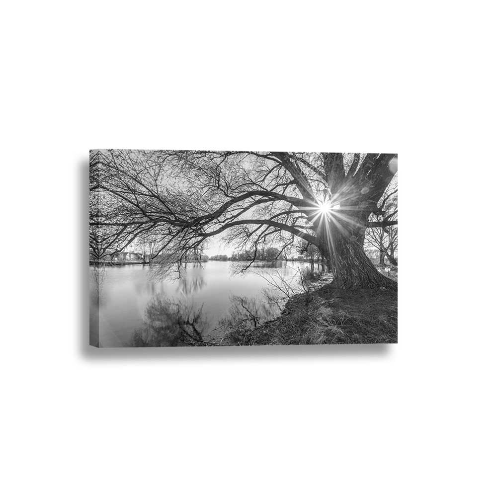 Sunlit Stillness Collection - Framed Canvas Home Decor Wall Art Multiple Choices 1 3 4 5 Panels