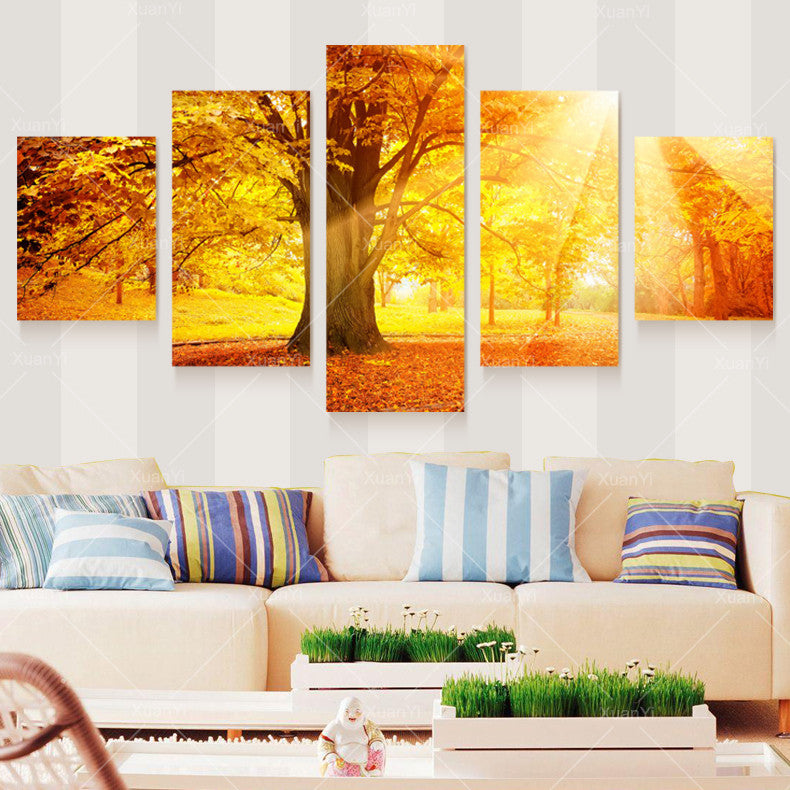 Sunshine through trees